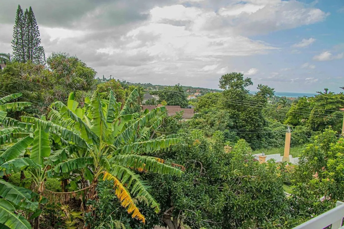 The Whyte House Villa -Luxury 6-Bedroom Retreat In Montego Bay Saint James 0*,  Jamaica